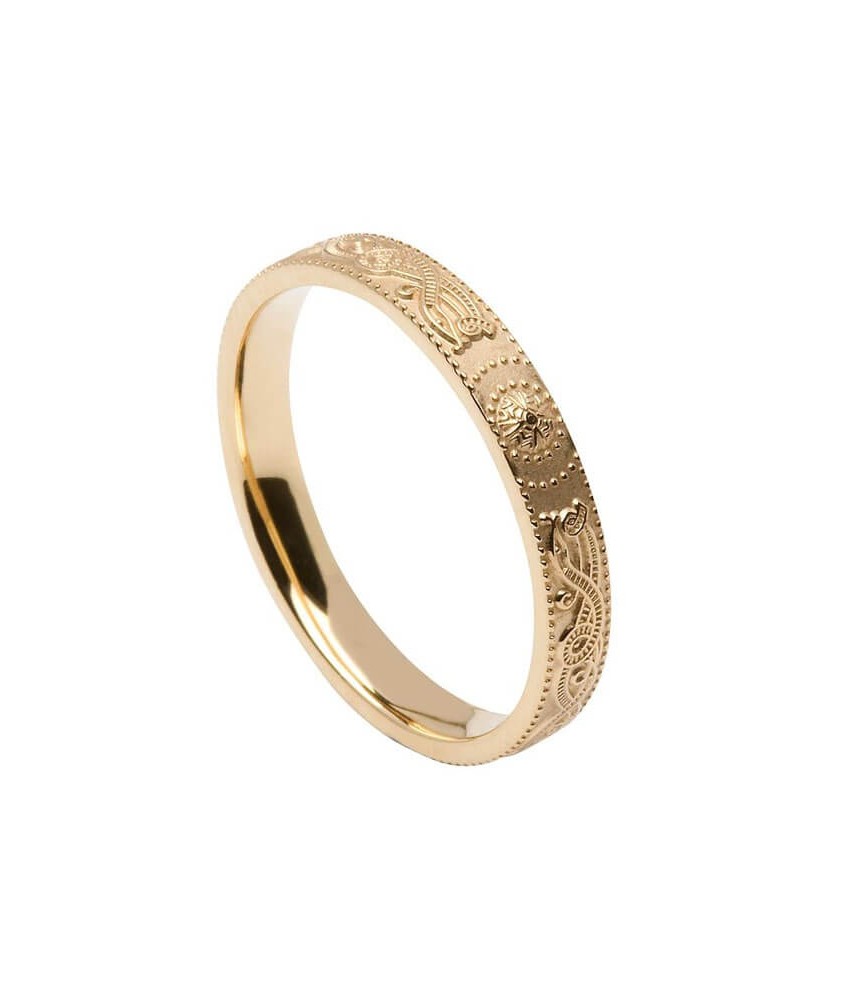 Schmaler irischer Krieger ring - Gold