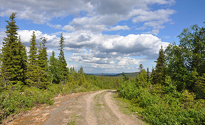 Celtic Road Network