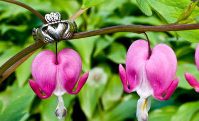 Image of Claddagh Ring