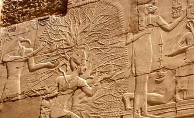 Egyptian Suckling Tree of Life