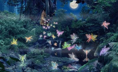 Image of Fairies playing in forest