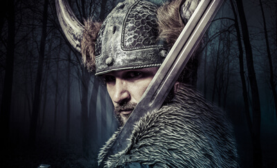 Viking Warrior