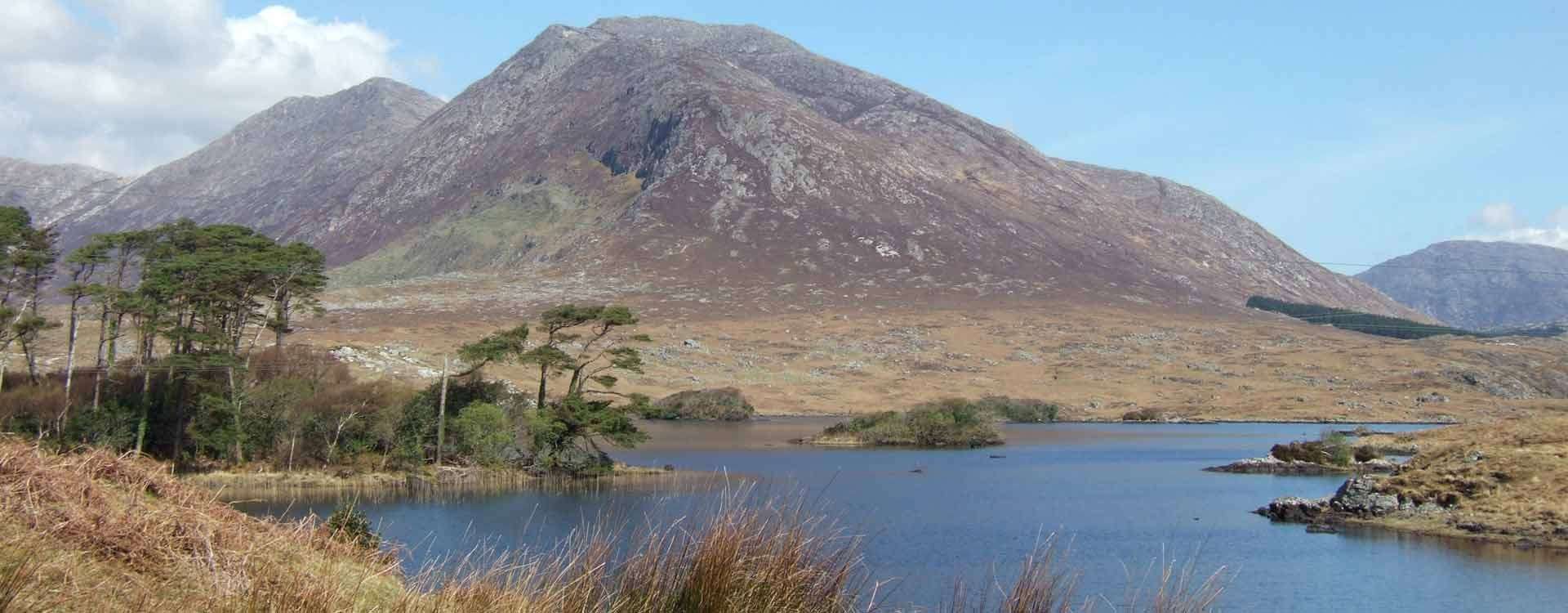 Marbre du Connemara - Pierre précieuse verte d'Irlande